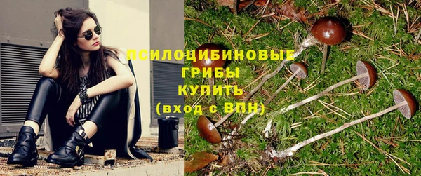 твердый Заволжск