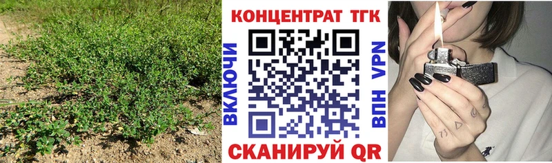 Купить где  Игарка  Дистиллят ТГК гашишное масло 