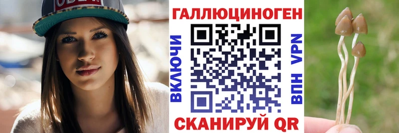 Купить  Игарка  Галлюциногенные грибы мицелий 